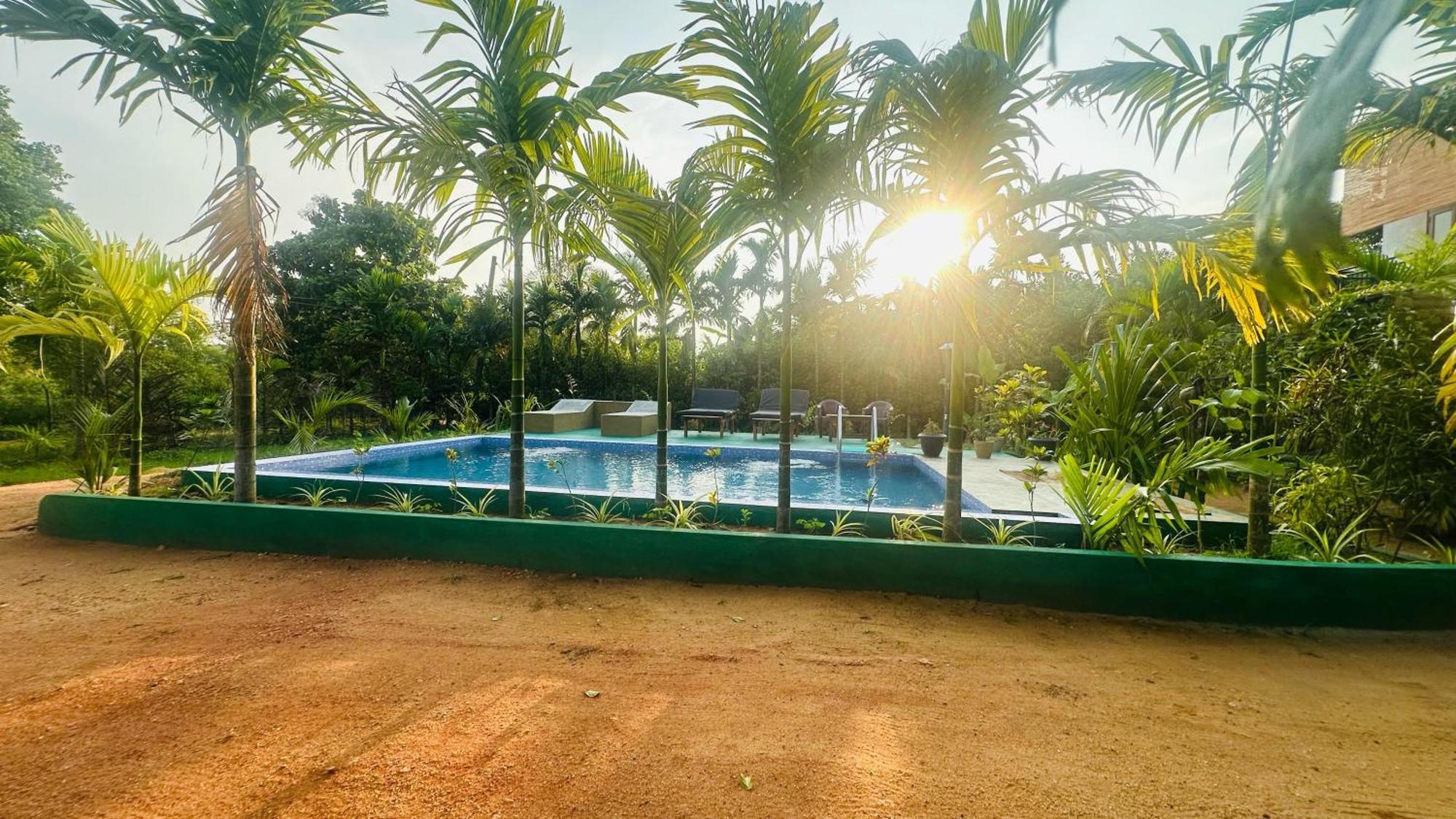 Dew Ashi Homestay Sigiriya Exterior photo