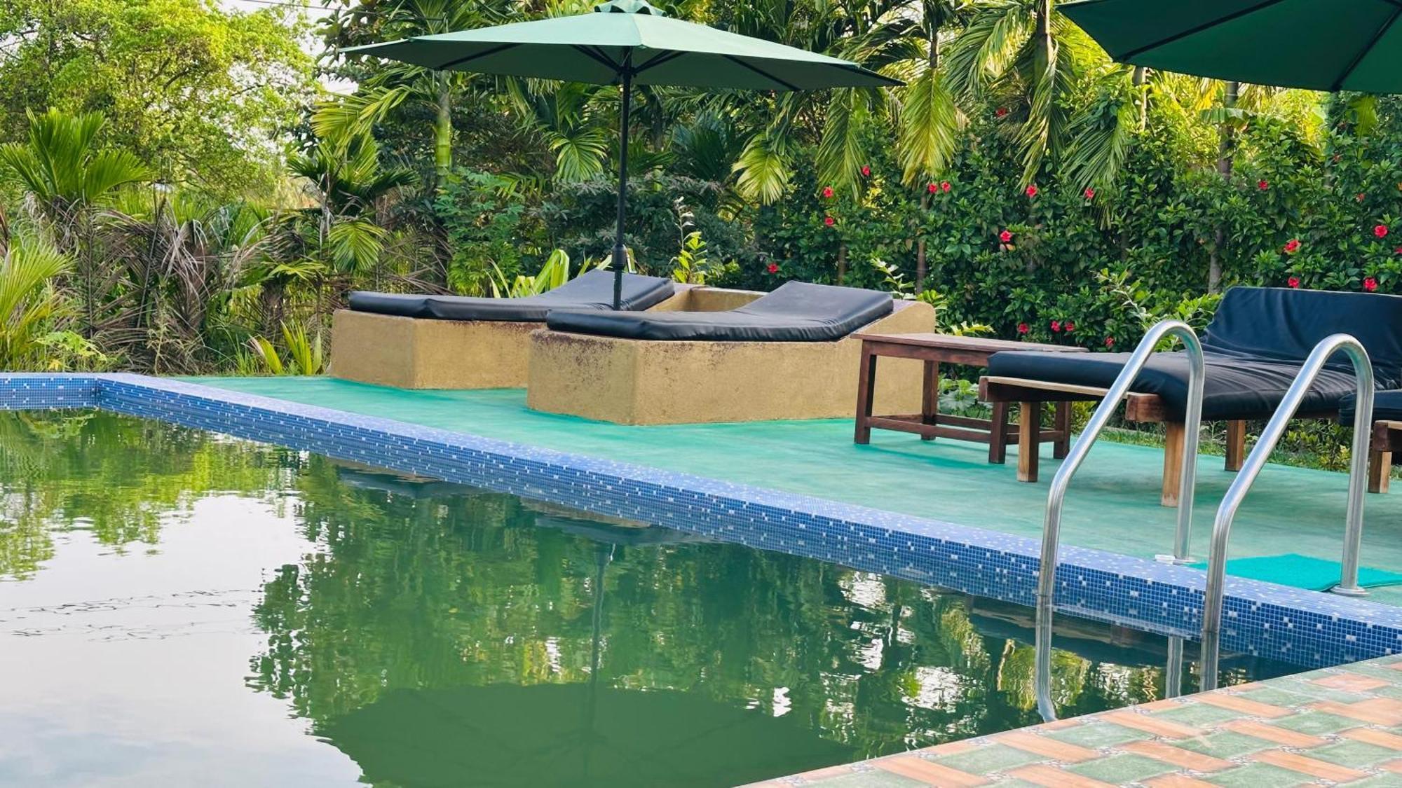 Dew Ashi Homestay Sigiriya Exterior photo